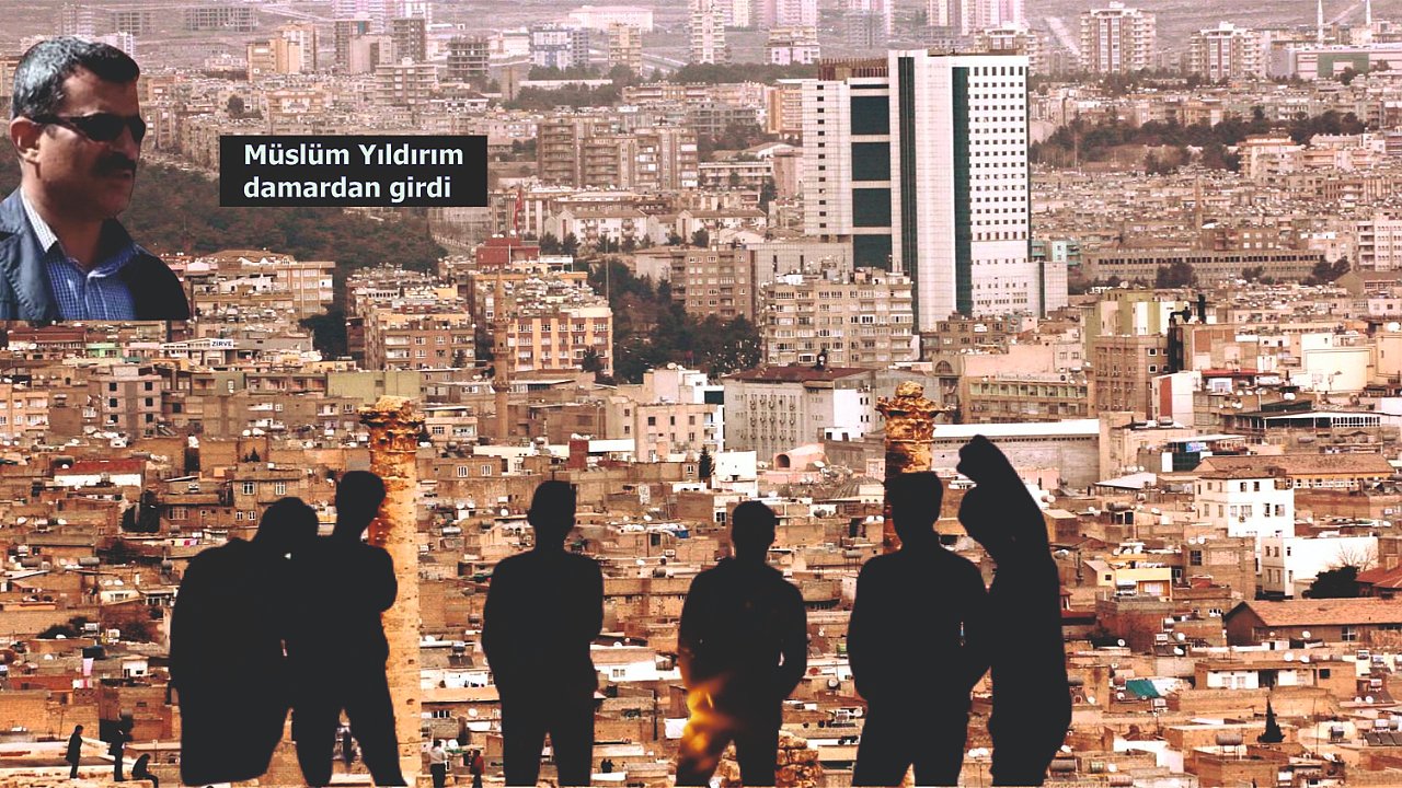 Beyaz Urfalıların soyları tükeniyor