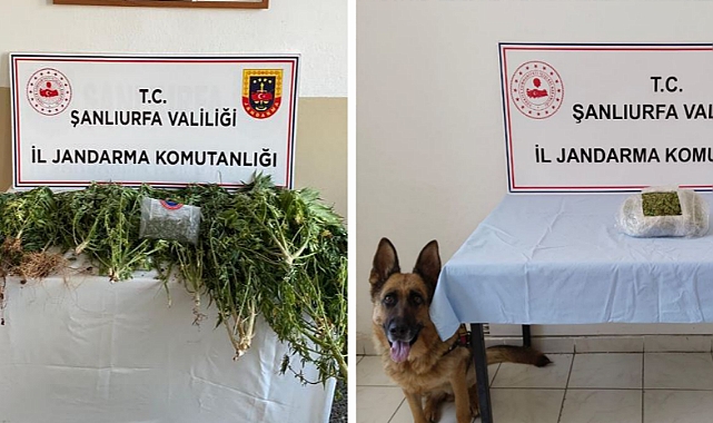 Halfeti ve Hilvan’da uyuşturucu operasyonu
