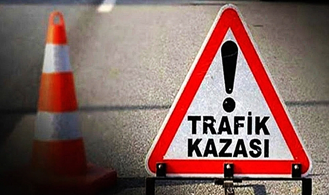 Kontrolden çıkan otomobil şarampole devrildi