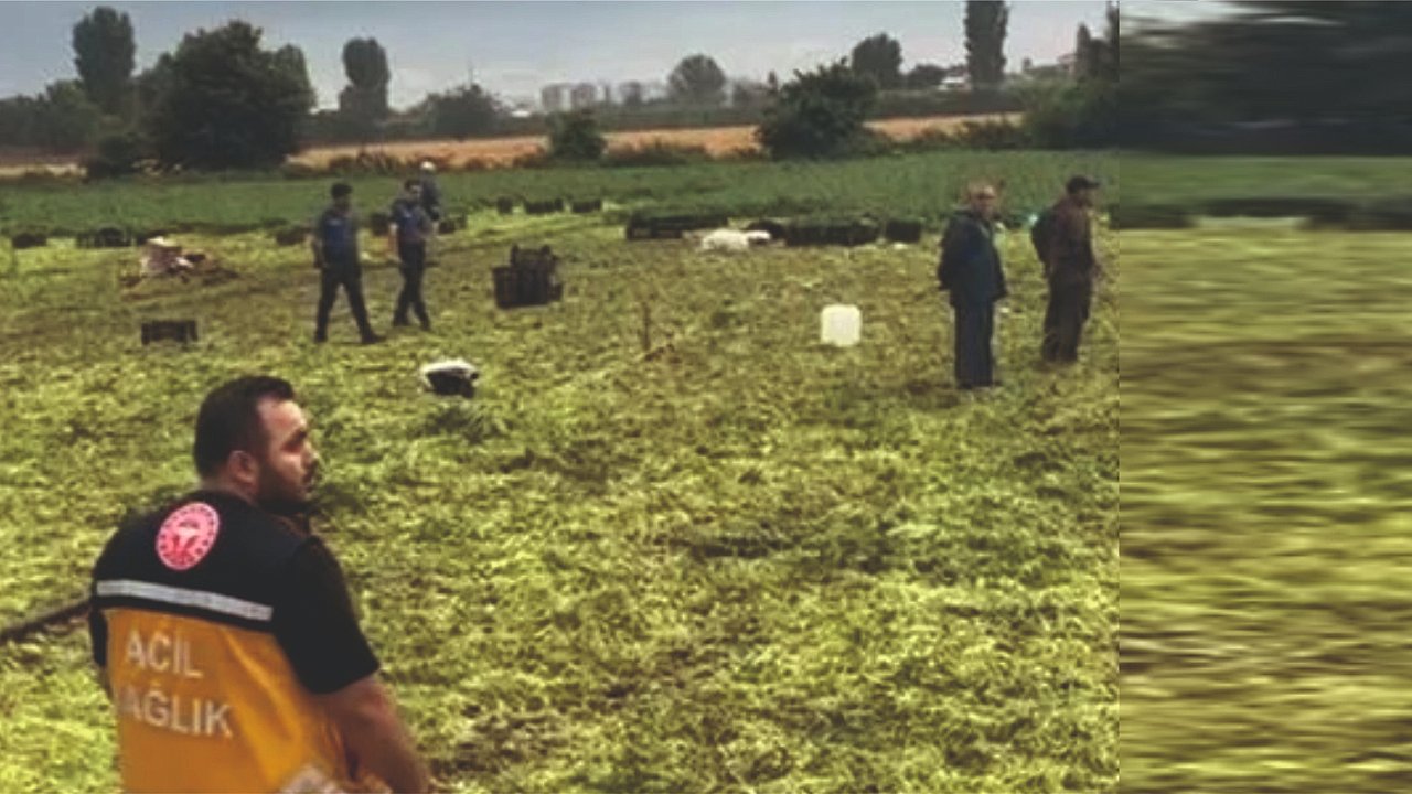 Urfalı Esmanur'un trajik ölümü!