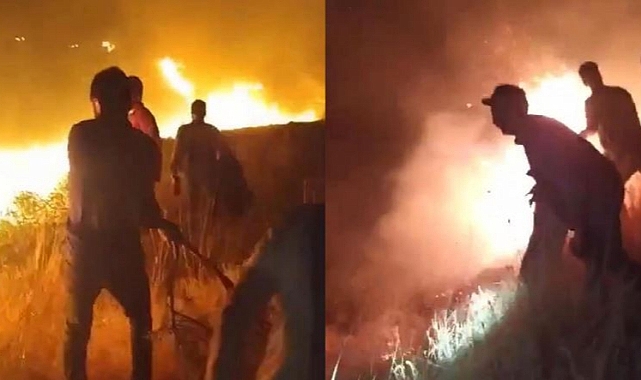 Karacadağ Bal Ormanı’nda yangın