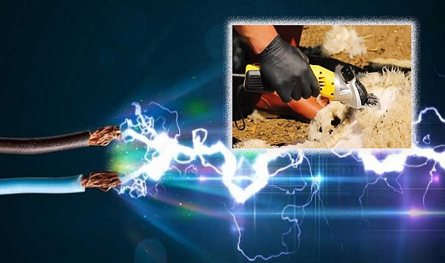 Koyun kırparken elektrik akımına kapıldı