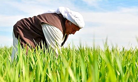 Urfa tarımı ipotek altında