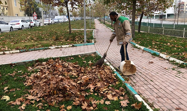 Haliliye’de kış temizliği