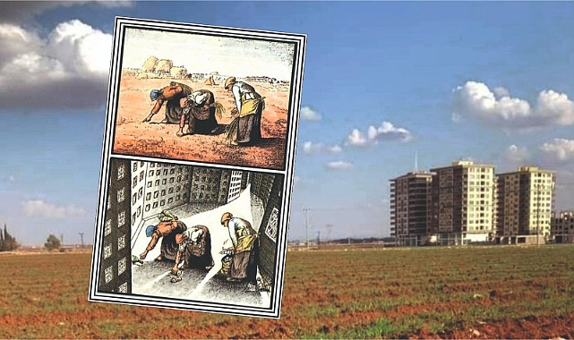 Dişli'den betonlaşmaya çarpıcı bakış