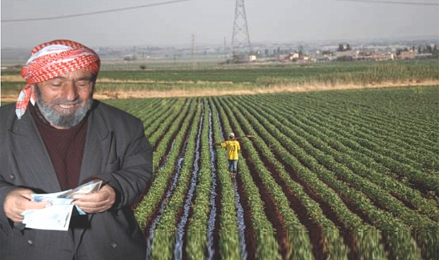 Urfa çiftçisi desteklemesine kavuşuyor