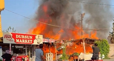 Urfa'da yangın paniği! Market kül oldu