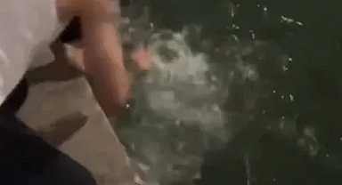 Şanlıurfa’da Balıklıgöl’deki Kutsal Balıklara Saygısızlık
