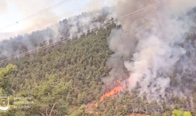 Şanlıurfa’dan Hatay Yangın Bölgesine Uzman Ekip Desteği