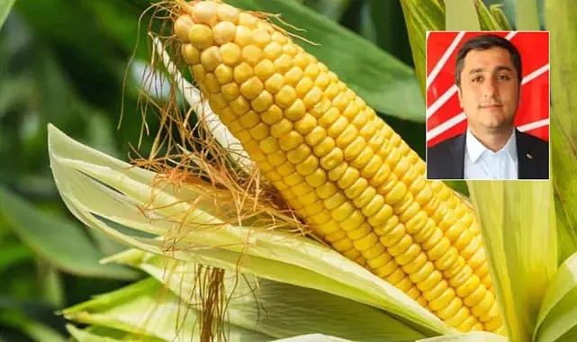 CHP’li Karadağ: İthalat kararı acilen iptal edilmeli