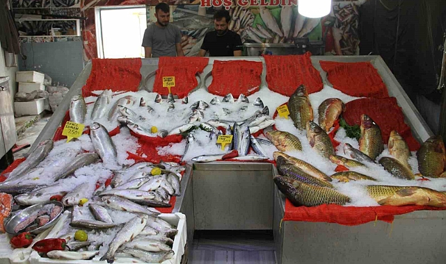 Esnafta ‘balık sezonu’ hazırlığı