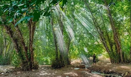 FLAŞ: Haftasonu o bölge piknikçilere kapalı !