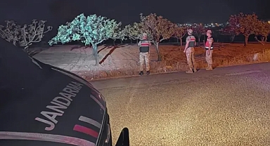 Jandarma, fıstık hırsızlarına karşı teyakkuzda