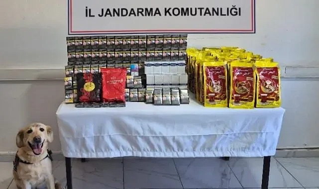 Şanlıurfa’da kaçakçılara geçit yok !