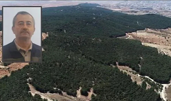 Şanlıurfa, ormanlık alan açısından en fakir il’iymiş !