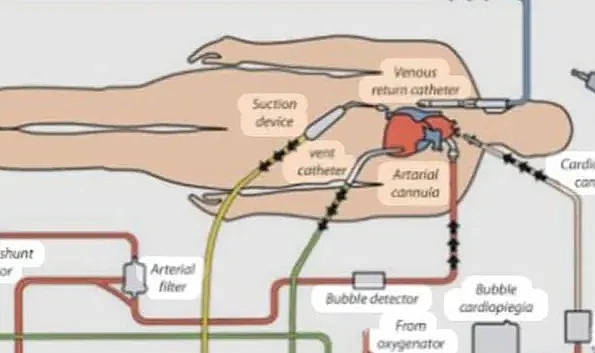 HRÜ'den perfüzyon alanındaki yayına uluslararası katkı