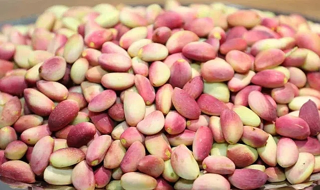 Şanlıurfa’da fıstık fiyatları ne kadar? Vatandaş, bu yıl evine fıstık götürebilecek mi?