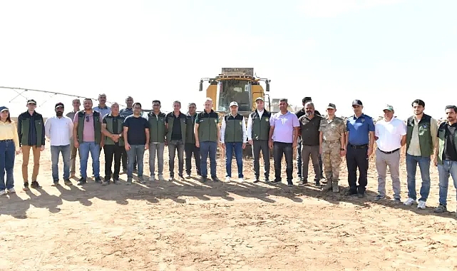 Vali Şıldak, Ceylanpınar'da ayçiçeği hasadına katıldı