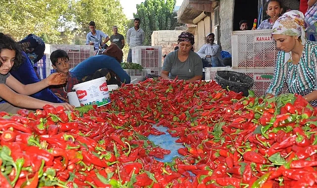 Hanımlar tedbirinizi alın, yağış geliyor