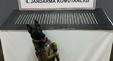 Şanlıurfa’da 1206 hap ele geçirildi