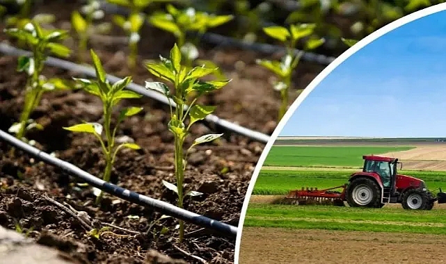 Şanlıurfalı çiftçiler dikkat: Bu haber sizi ilgilendiriyor