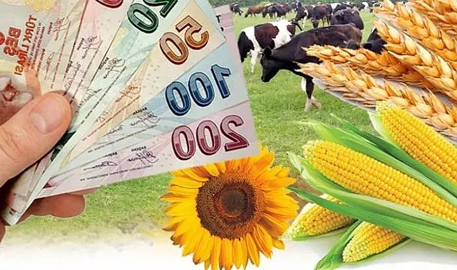 Şanlıurfalı çiftçilere destekleme müjdesi