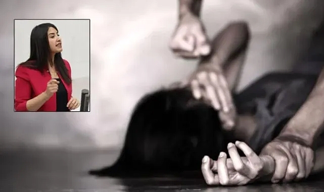 Siverek’teki intihar olayları TBMM’nin gündeminde