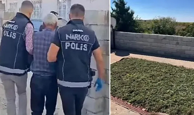 Suruç’ta uyuşturucu operasyonu (VİDEO)