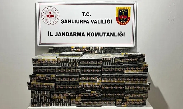 Viranşehir ve Akçakale’de kaçak sigara operasyonu