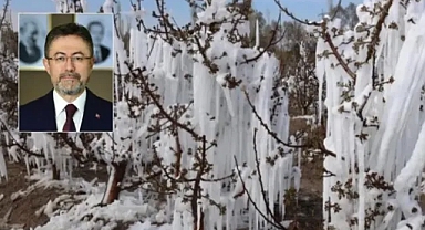 Zirai dondan zarar gören çiftçilere müjde