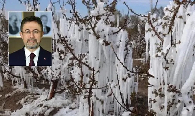 Zirai dondan zarar gören çiftçilere müjde