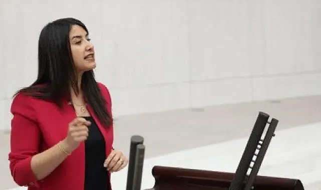 Ayan: Şanlıurfalılar bütçeden paylarını istiyor