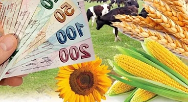 Çiftçilere 306 milyon liralık destek sağlandı