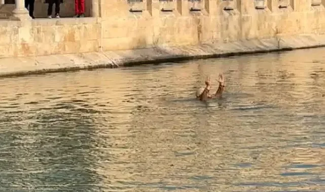 Balıklıgöl’e atlayan kişi ‘adalet’ istedi