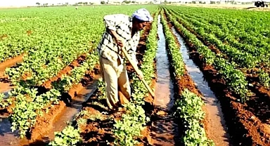 Şanlıurfa çiftçisine ÇKS uyarısı