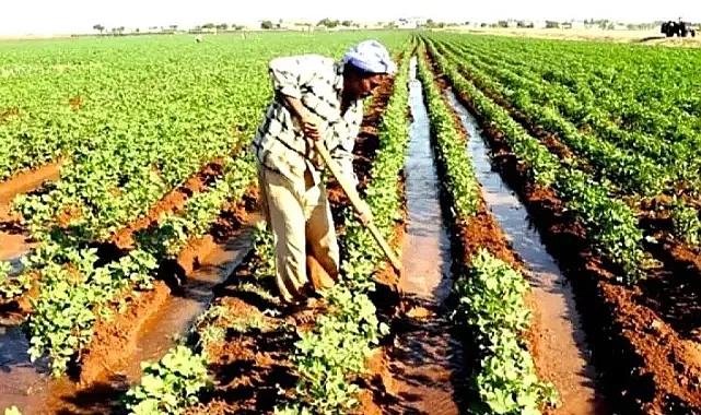 Şanlıurfa çiftçisine ÇKS uyarısı