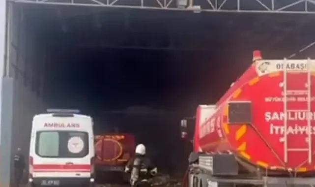 Şanlıurfa’da bir fabrikada yangın
