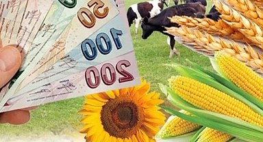 Şanlıurfa üreticisine can suyu