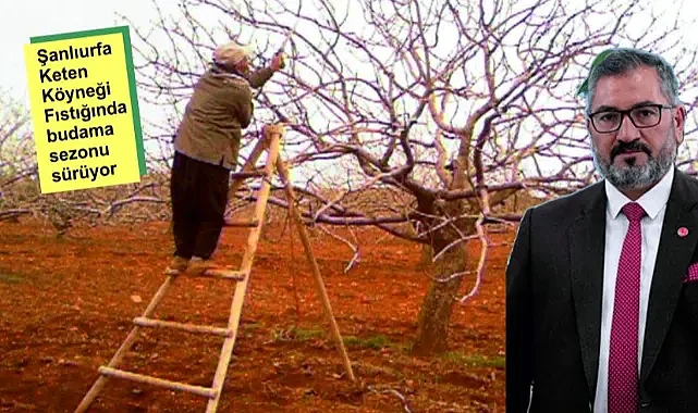 Akbaş: 'Don olmasın, dolu vurmasın diye dua ediyoruz'