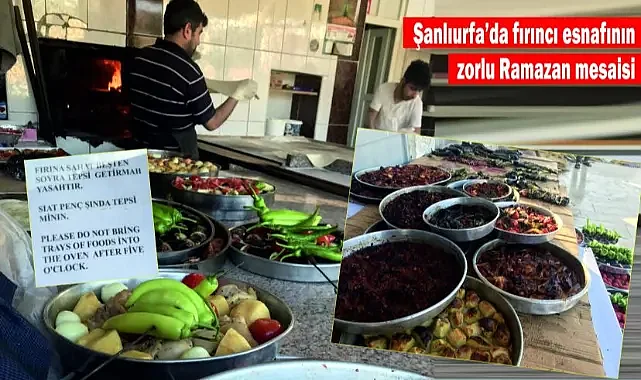 Baktı olmuyor, Urfalılara 3 dilde çağrı yaptı