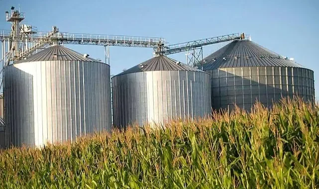 Mısır silosuna düşen işçi feci şekilde can verdi