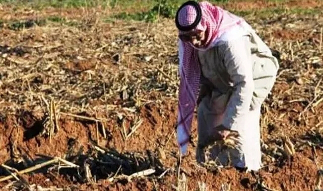 Şanlıurfa çiftçisine güzel haber