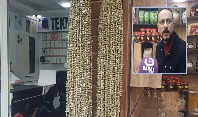 Şanlıurfa’da bamya altınla yarışıyor