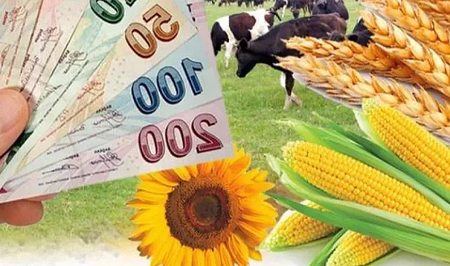 Şanlıurfalı çiftçilere müjde