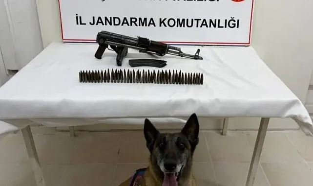 Suruç’ta silah operasyonu