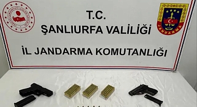 Bozova ve Ceylanpınar'da silah operasyonu