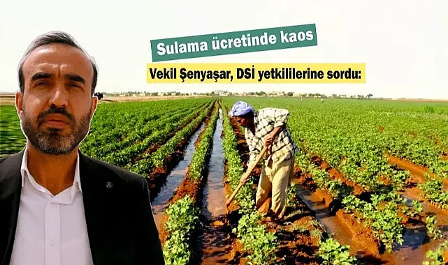 Bu hakkaniyete sığar mı?