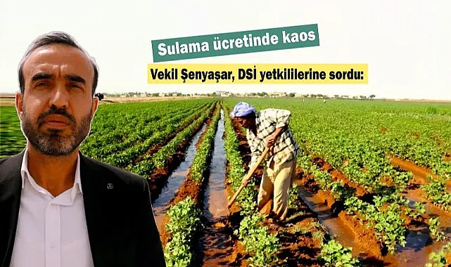 Bu hakkaniyete sığar mı?