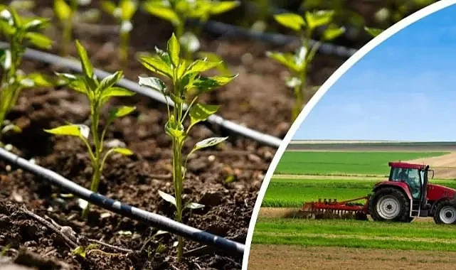 Çiftçilerin sorunları TBMM'nin gündeminde