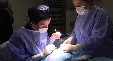 Göz Kapağı Düşüklüğü (Pitoz) nedir, nasıl tedavi edilir?